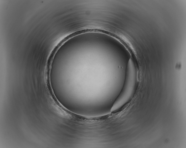 X0000090931076200707301550