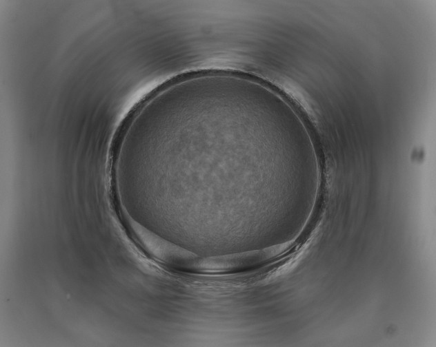 X0000090931077200707301550