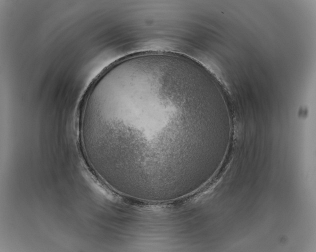 X0000090931078200707301550