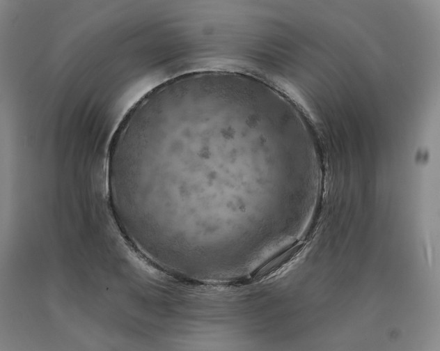 X0000090931079200707301550
