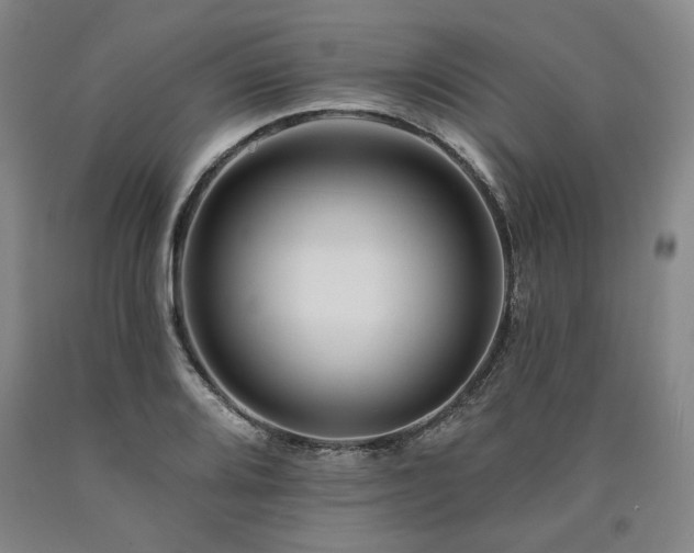 X0000090931080200707301550