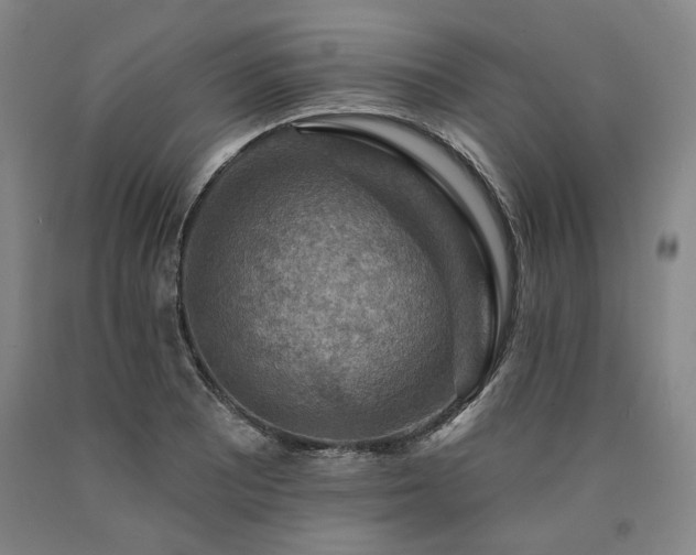 X0000090931081200707301550