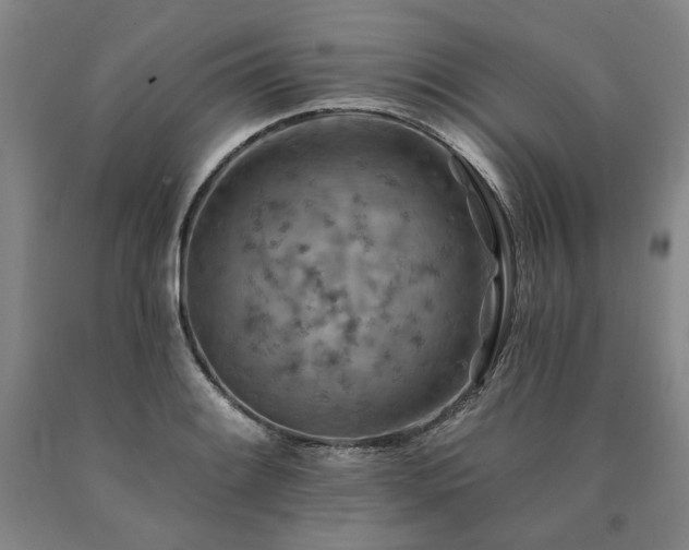 X0000090931084200707301550