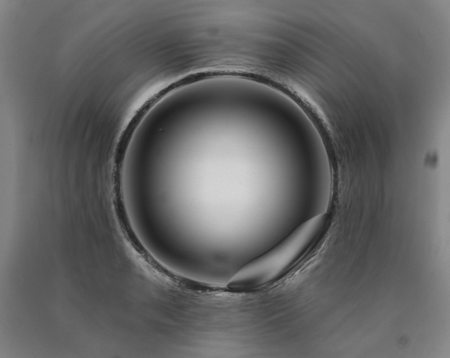 X0000090931085200707301550