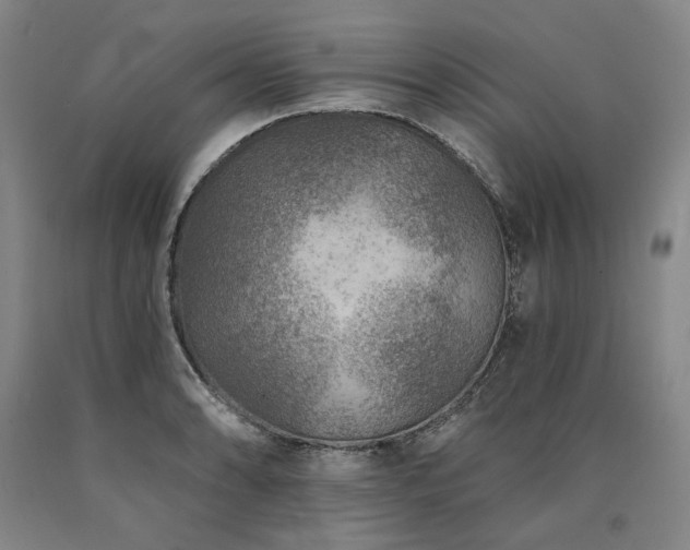 X0000090931086200707301550