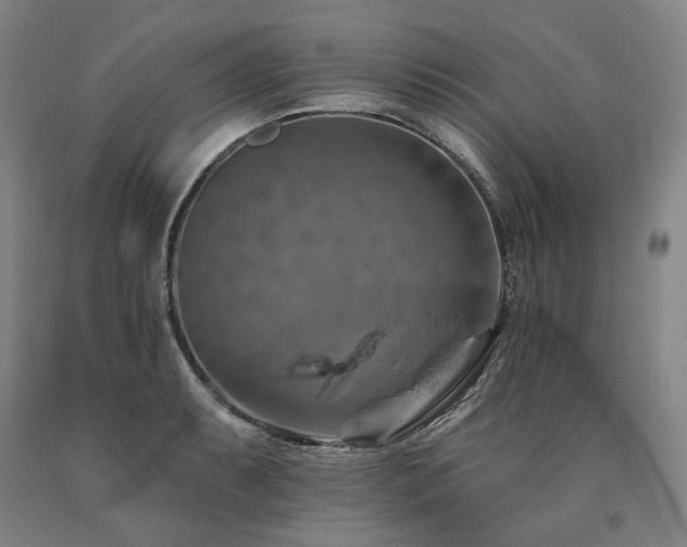 X0000090931087200707301550