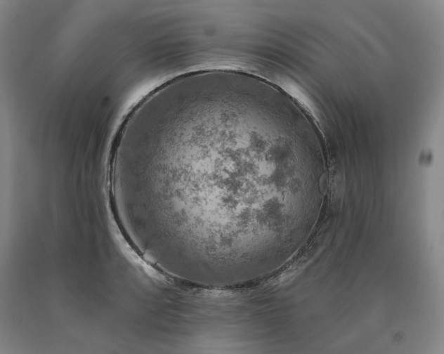 X0000090931088200707301550