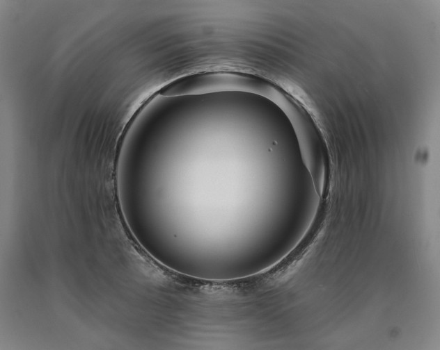 X0000090931089200707301549