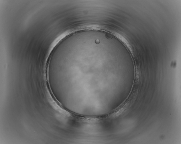 X0000090931090200707301549