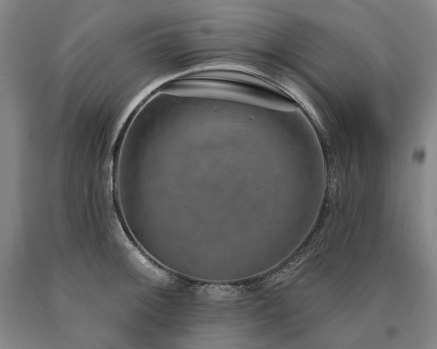 X0000090931092200707301549