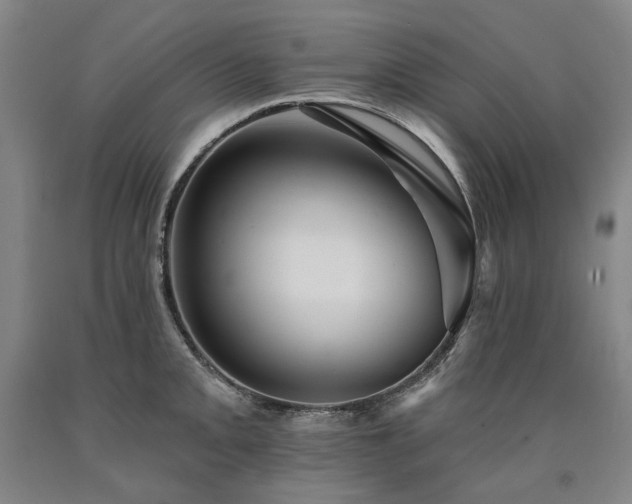 X0000090931093200707301549
