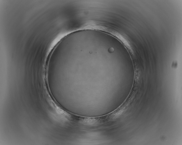 X0000090931094200707301549