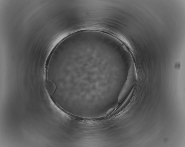 X0000090931095200707301549