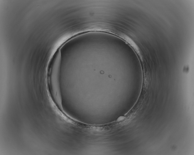 X0000090931096200707301549