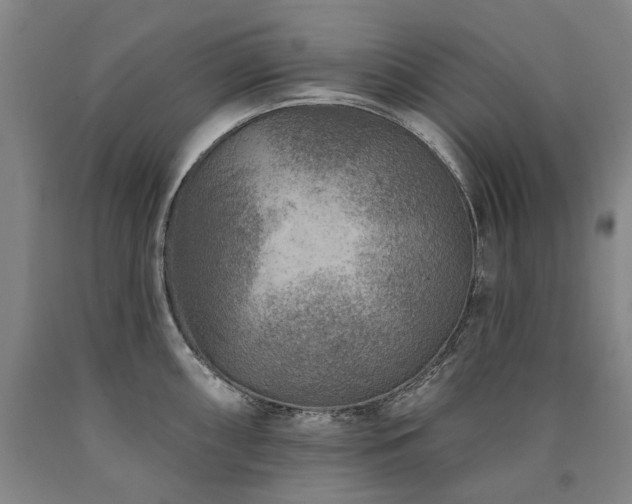 X0000090931098200707301549