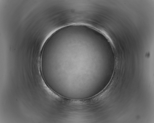 X0000090931100200707301549