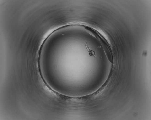 X0000090931102200707301549