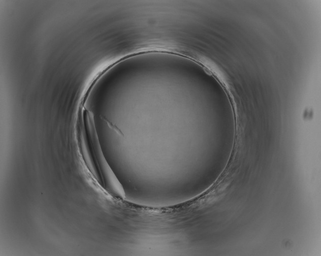 X0000090931104200707301549