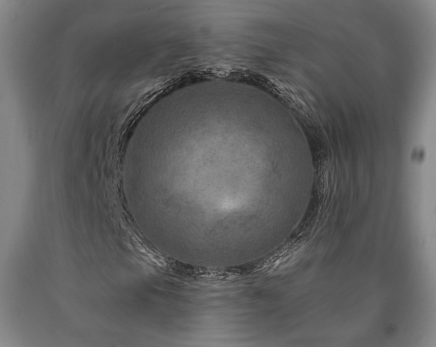 X0000090931105200707301548