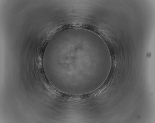 X0000090931106200707301548