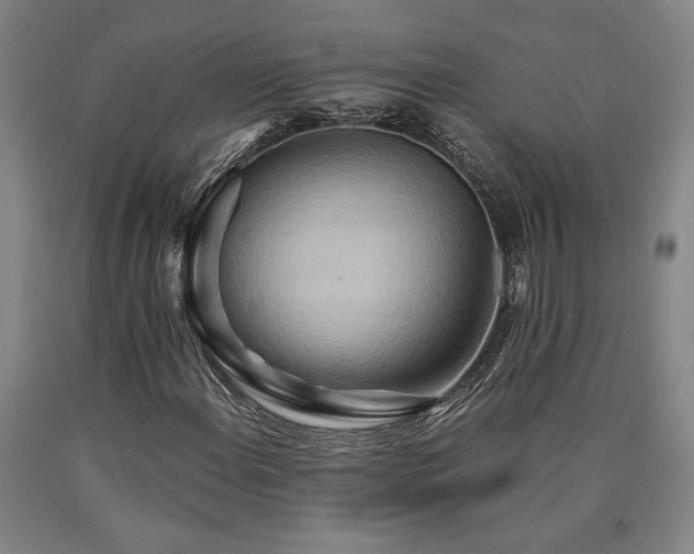 X0000090931108200707301548