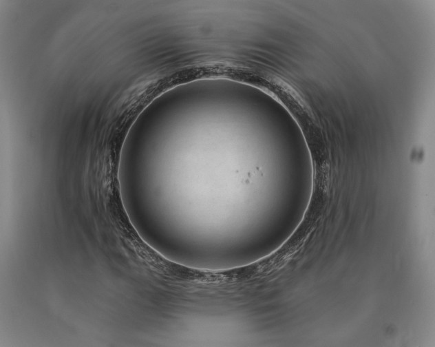 X0000090931111200707301548