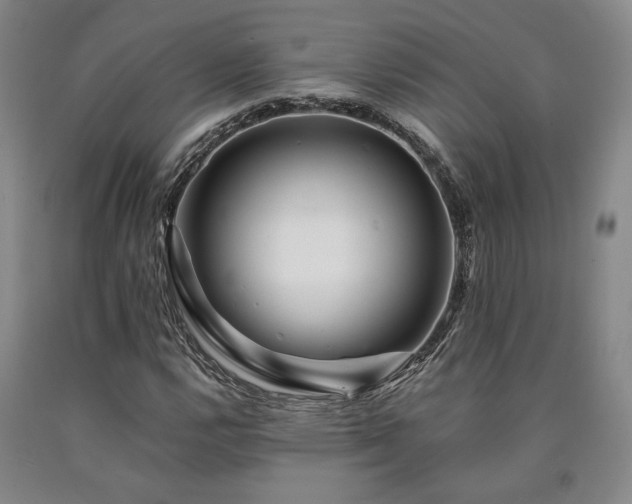 X0000090931112200707301548