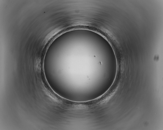 X0000090931113200707301548