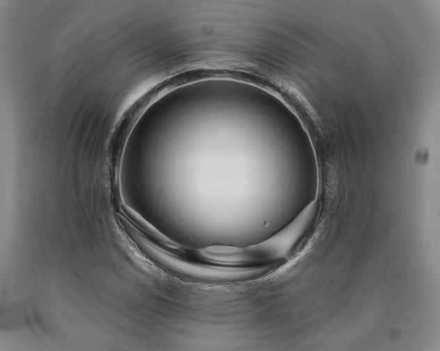 X0000090931114200707301548