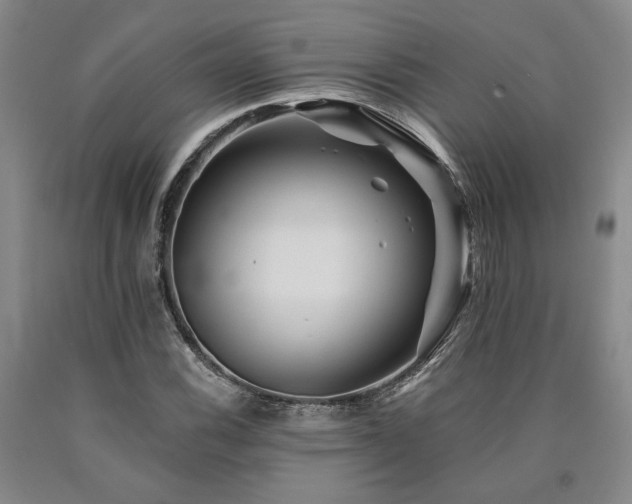X0000090931116200707301548