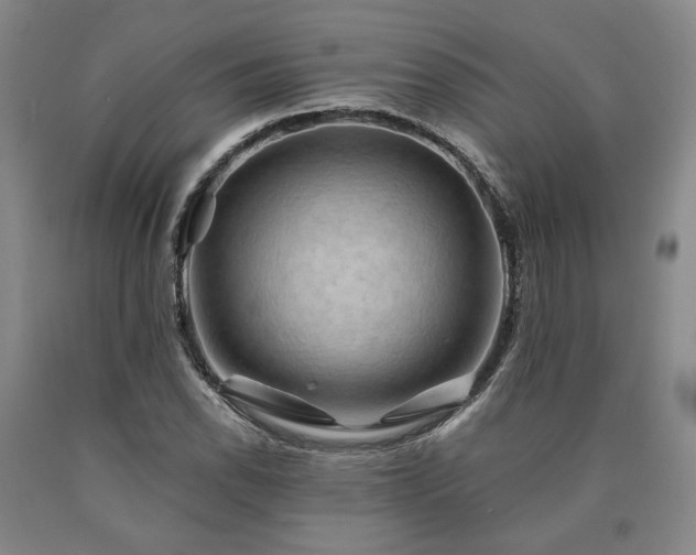 X0000090931118200707301548