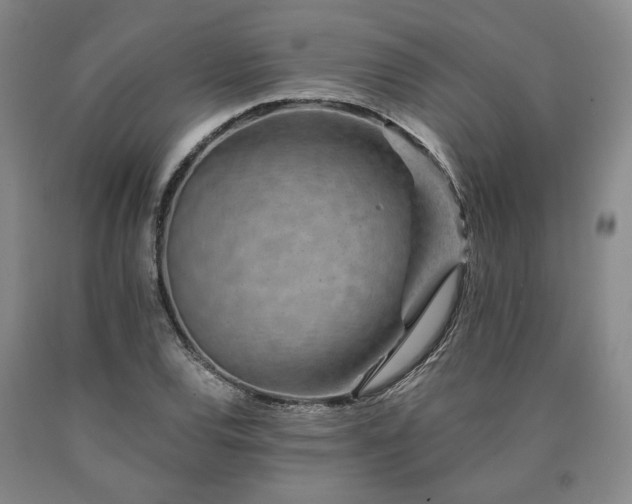 X0000090931120200707301548