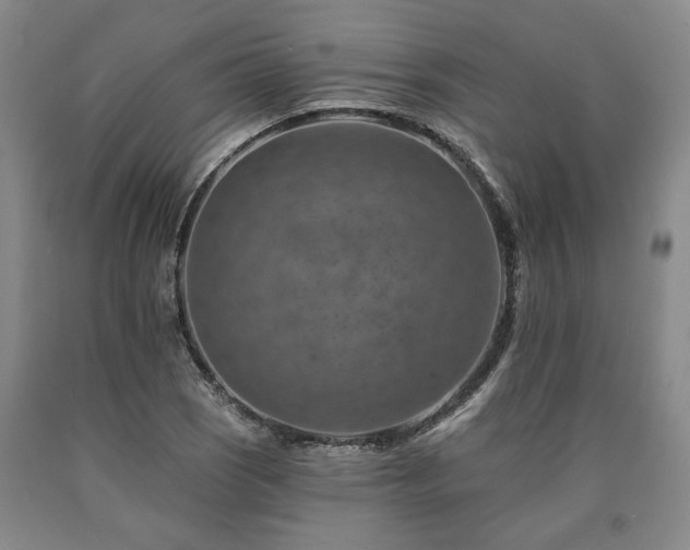 X0000090931121200707301548