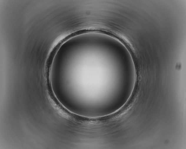 X0000090931122200707301548