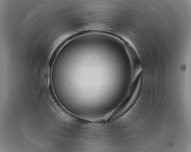 X0000090931123200707301548