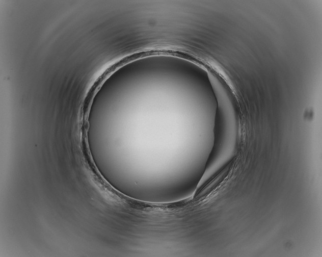 X0000090931124200707301548