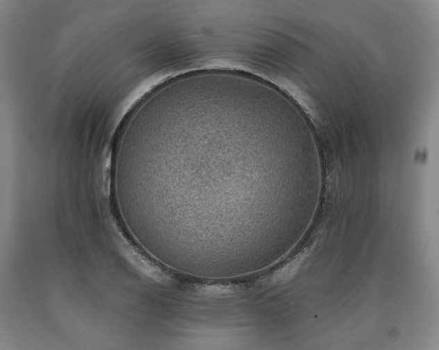 X0000090931126200707301548