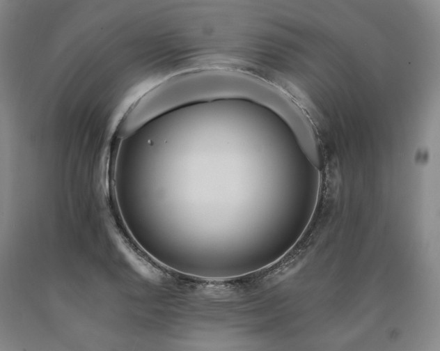 X0000090931128200707301548