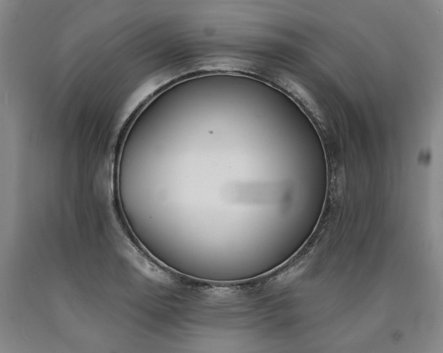 X0000090931130200707301549