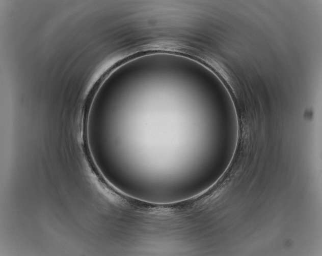 X0000090931131200707301549