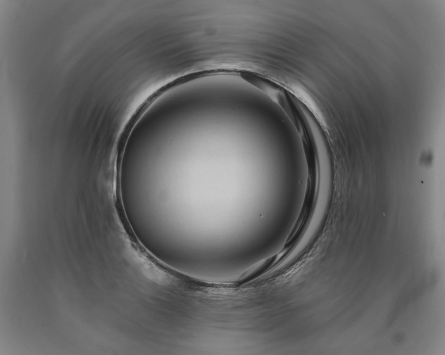 X0000090931132200707301549