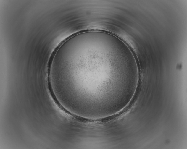 X0000090931133200707301549