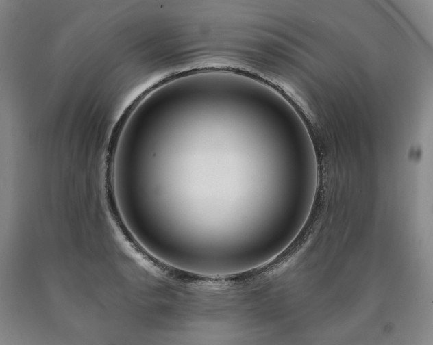 X0000090931134200707301549