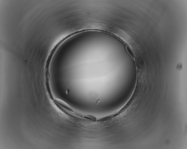X0000090931135200707301549