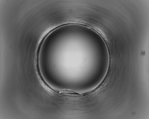 X0000090931136200707301549