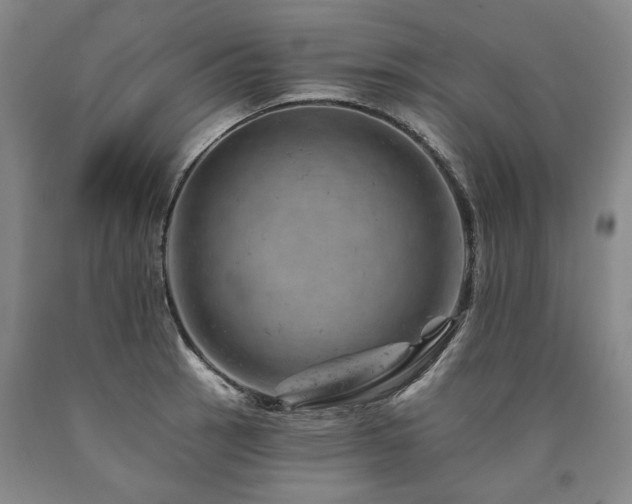 X0000090931137200707301549