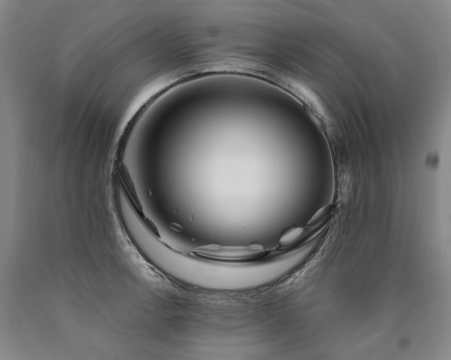 X0000090931138200707301549