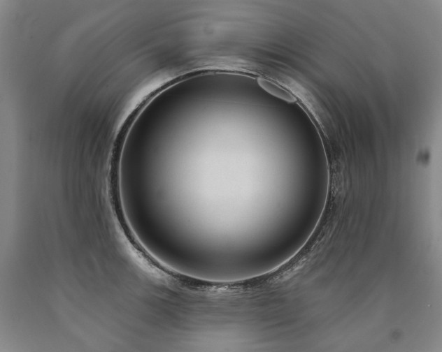 X0000090931139200707301549