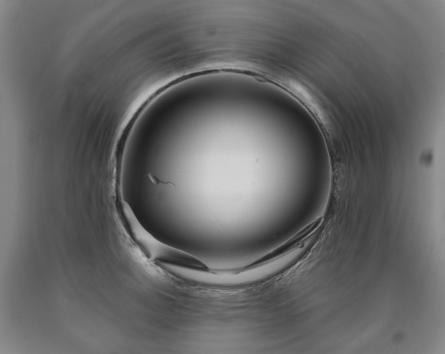 X0000090931140200707301549