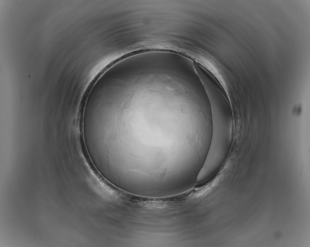 X0000090931141200707301549